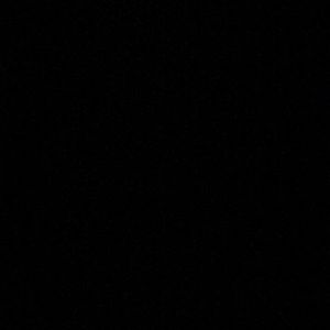 Meet your Posher, Bailey